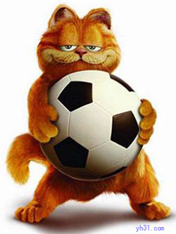 猫猫爱足球