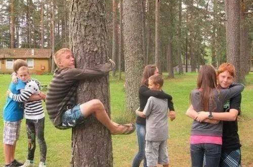 你们都有女生抱，单身狗就抱树吧