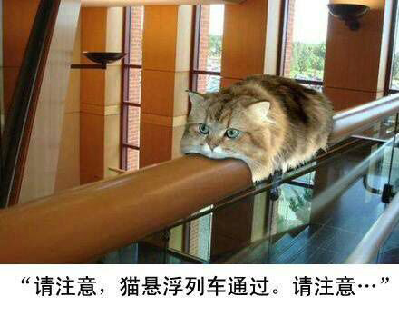 请注意，猫悬浮列车通过