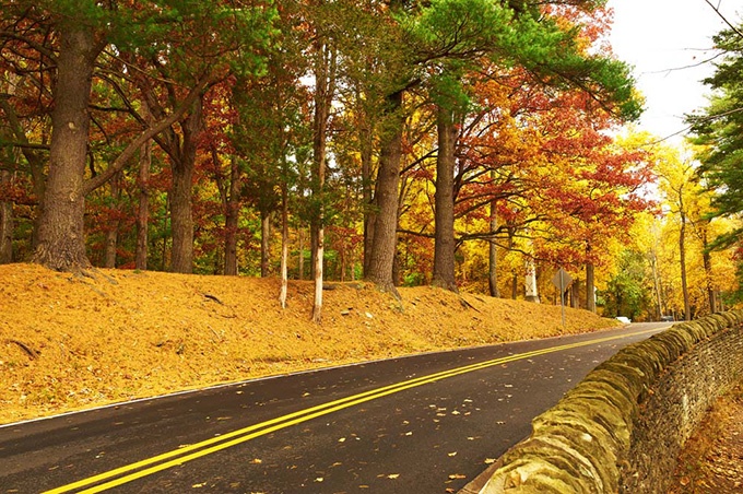 秋季里的公路