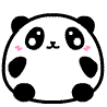 小熊猫糖糖QQ表情图片