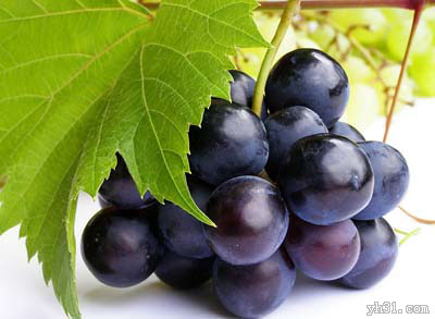 美丽漂亮的黑葡萄