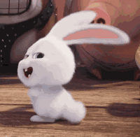 跳舞的小兔子