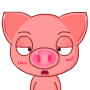 一脸茫然的小猪猪