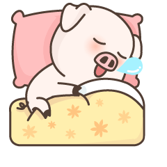 睡在床上打呼噜的小萌猪