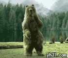 跳舞的大熊