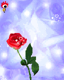 鲜花代表爱情