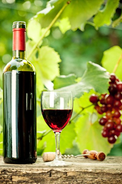 品味人生，葡萄与红酒