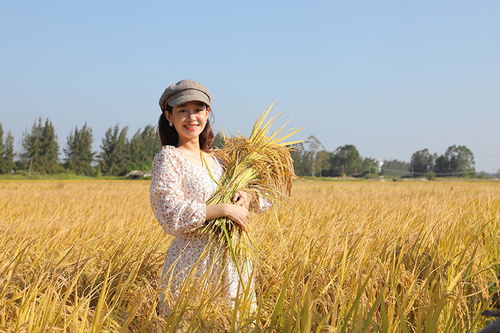 又到稻谷丰收的季节，妹子笑得真开心