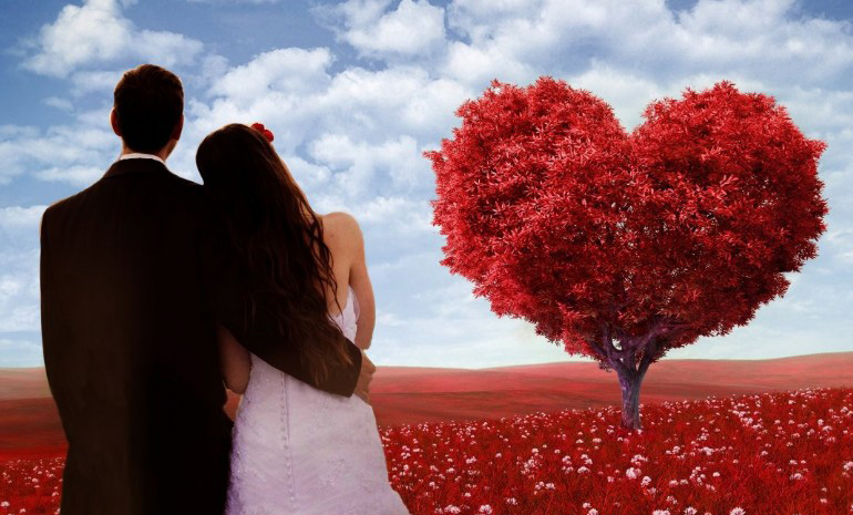 红花红树下的新婚夫妇