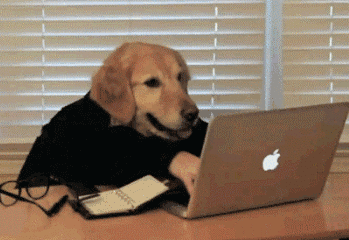 用苹果电脑认真工作的狗狗