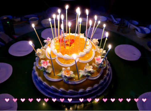 插满蜡烛的精美生日蛋糕