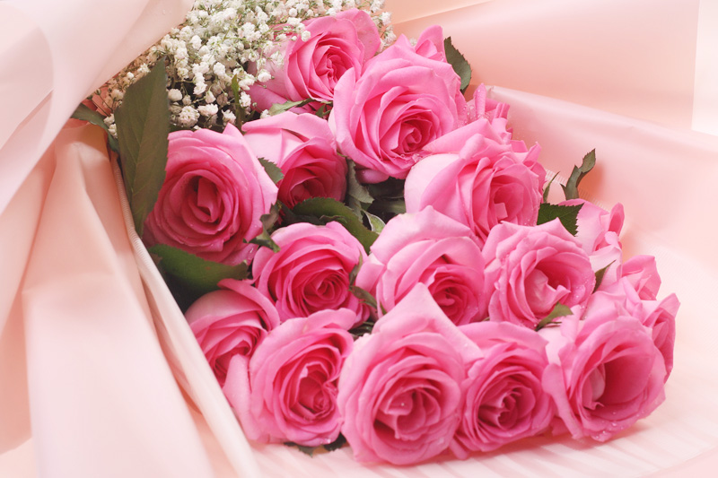 送你一束粉红色的鲜花