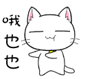 可爱的菊花教教猫表情图