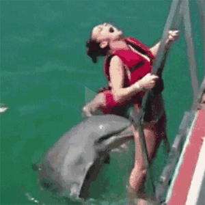美女被海豚搞笑攻击