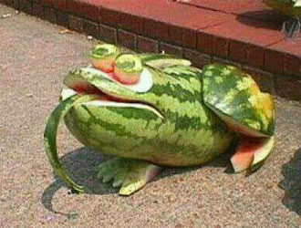 用西瓜做的青蛙