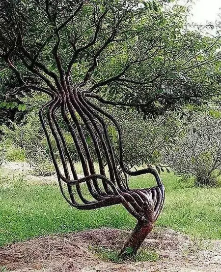树枝拼成的摇椅